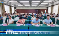 湖北十堰举办羊肚菌技术培训暨产业发展座谈会