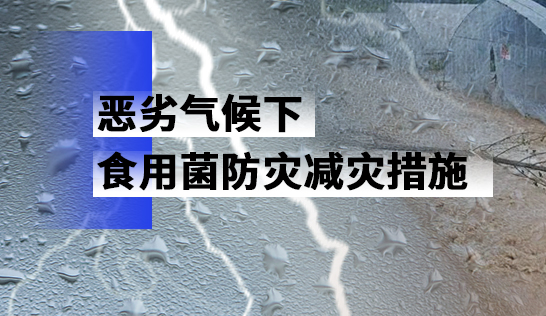 恶劣气候下食用菌防灾减灾措施