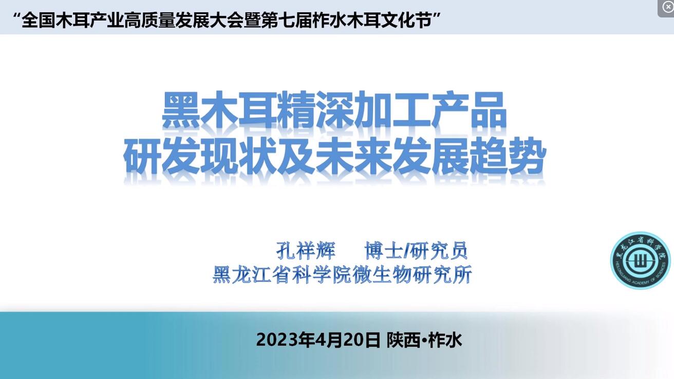 未来木耳精深加工趋势-孔祥辉